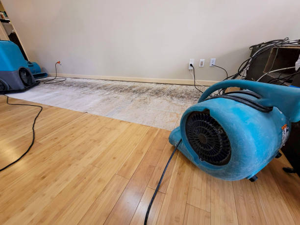 Professional Water Extraction technician working in Wayland, MA